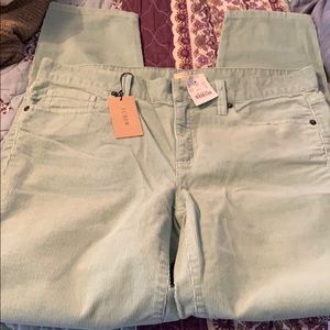 NWT J. Crew Factory Cords!